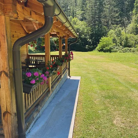 D&s Holiday home *