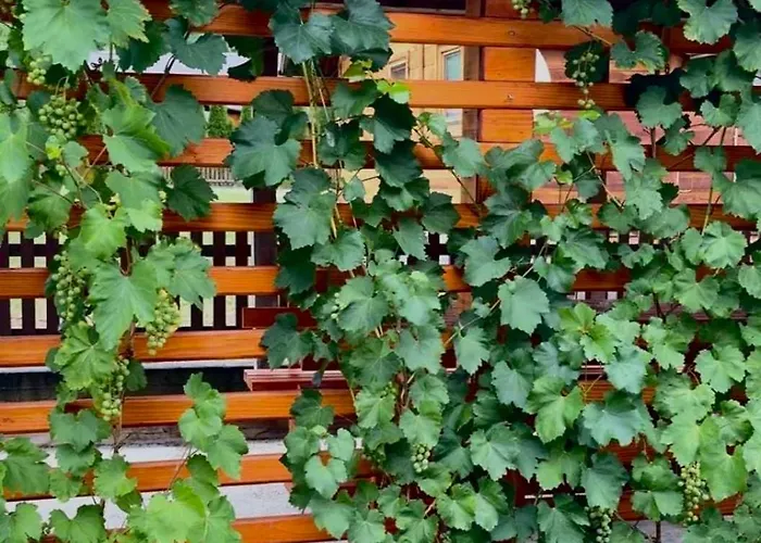 度假居 D&s 莫克拉戈拉